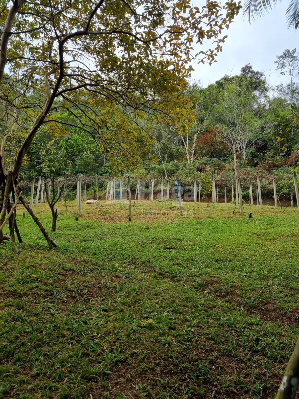 Fazenda de 4.468 m² em Nova Trento, SC