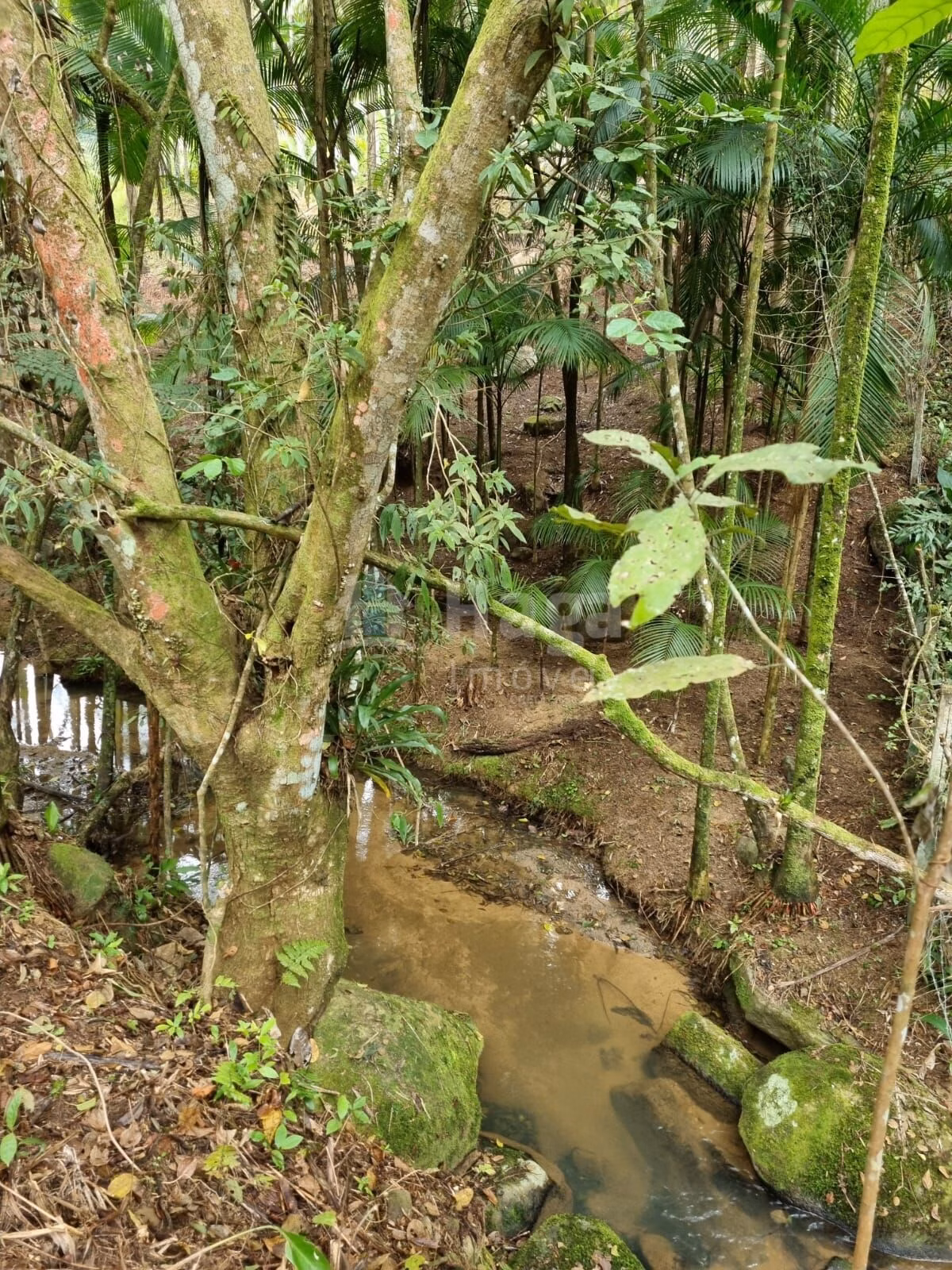 Fazenda de 4.468 m² em Nova Trento, SC