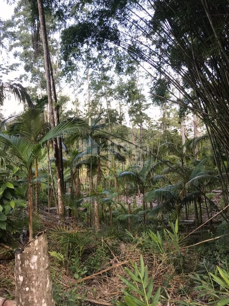 Fazenda de 6 ha em Guabiruba, SC