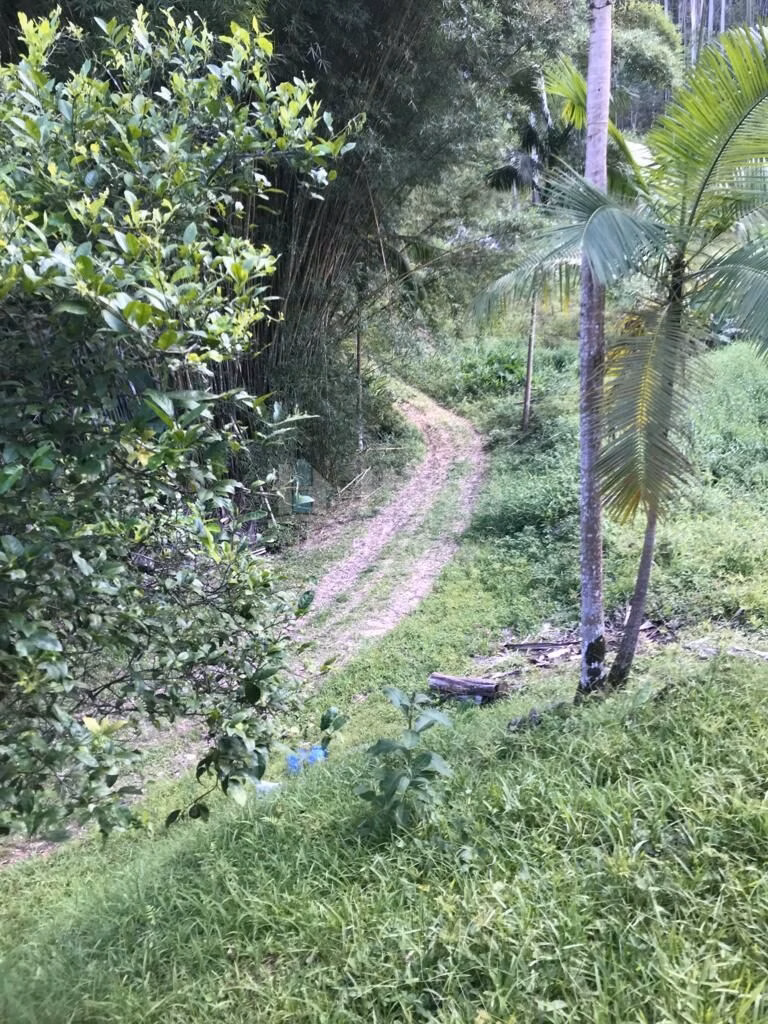 Fazenda de 6 ha em Guabiruba, SC