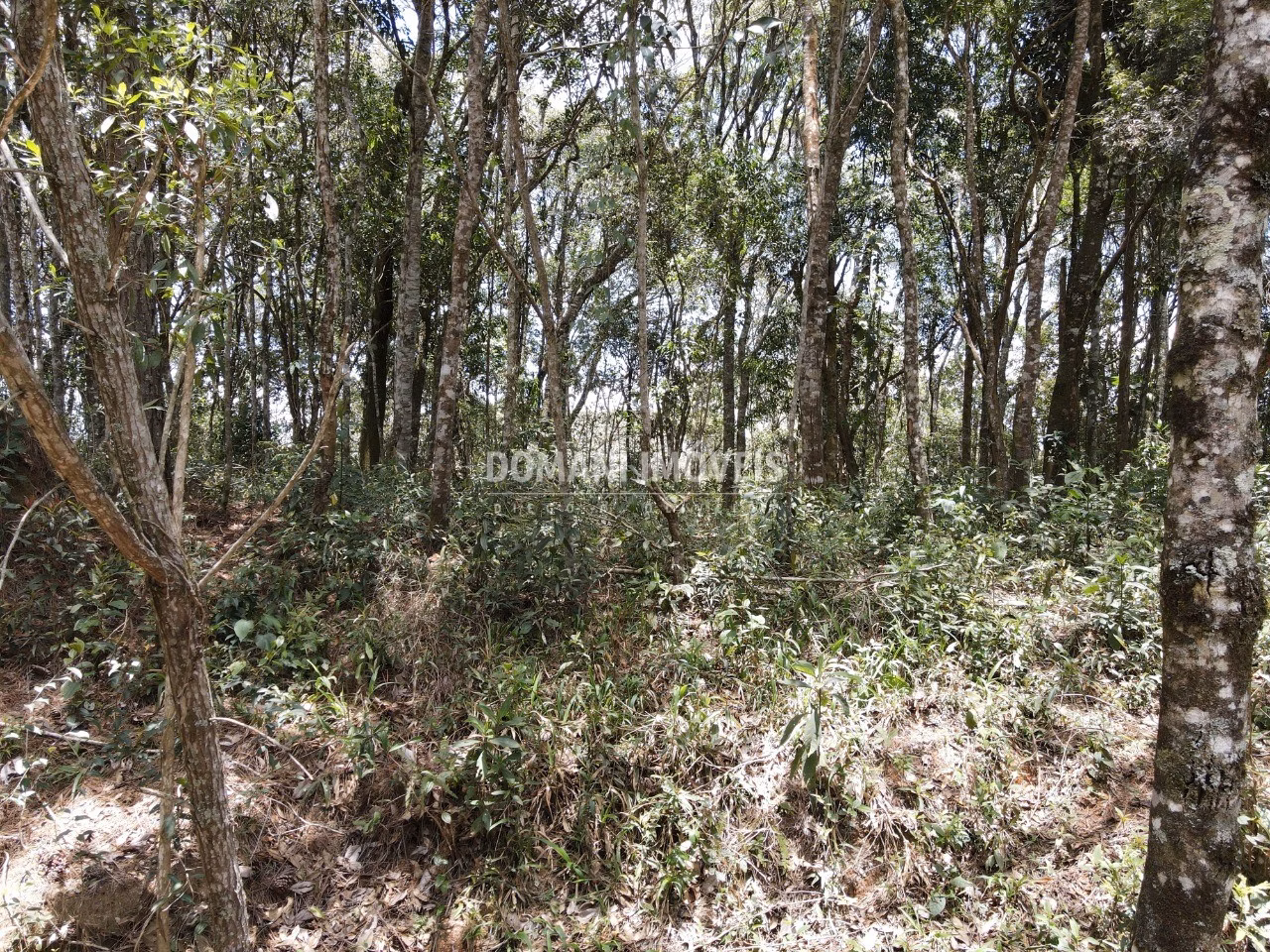 Plot of 1,350 m² in Campos do Jordão, SP, Brazil