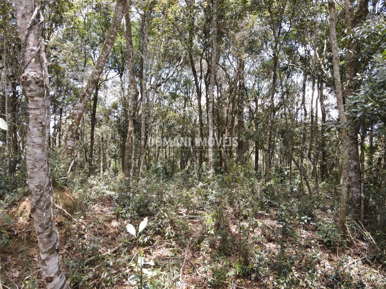 Plot of 1,350 m² in Campos do Jordão, SP, Brazil