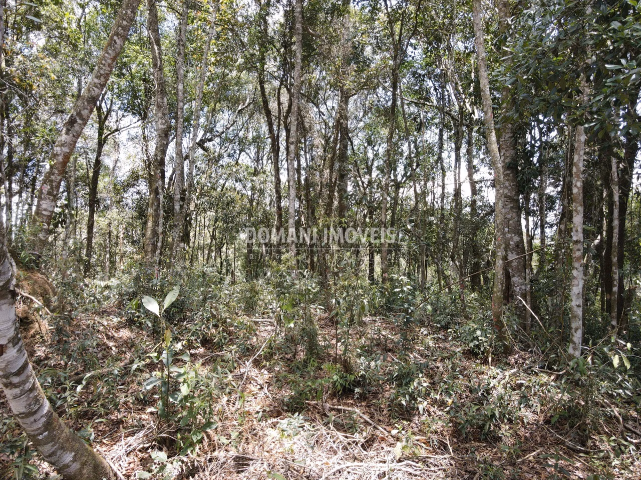 Plot of 1,350 m² in Campos do Jordão, SP, Brazil