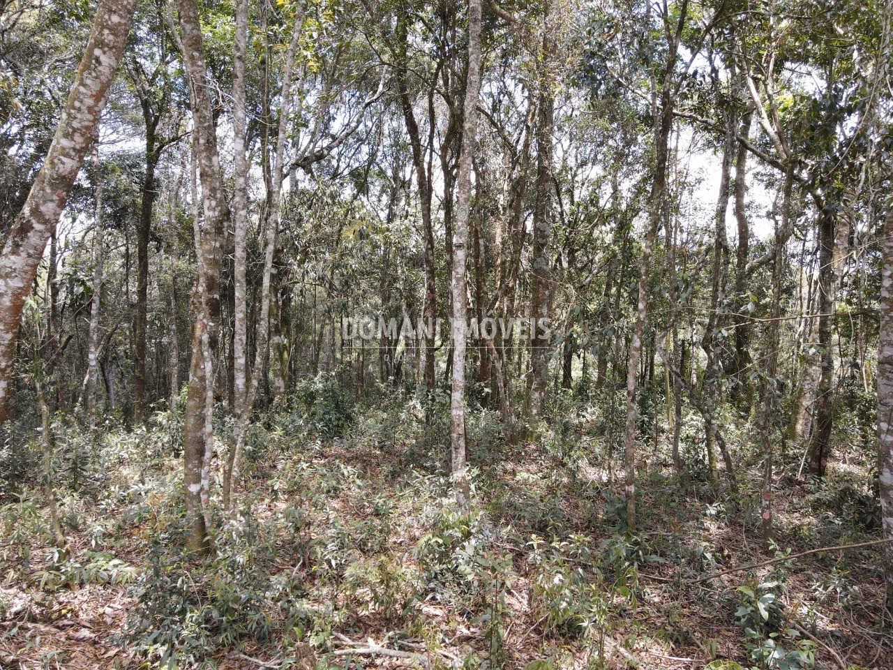 Plot of 1,350 m² in Campos do Jordão, SP, Brazil