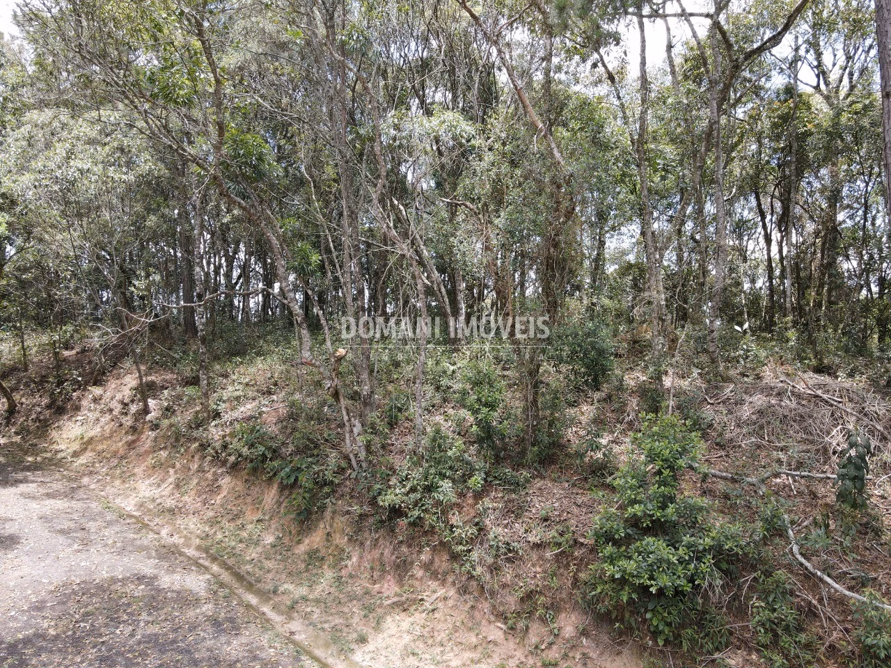 Plot of 1,350 m² in Campos do Jordão, SP, Brazil