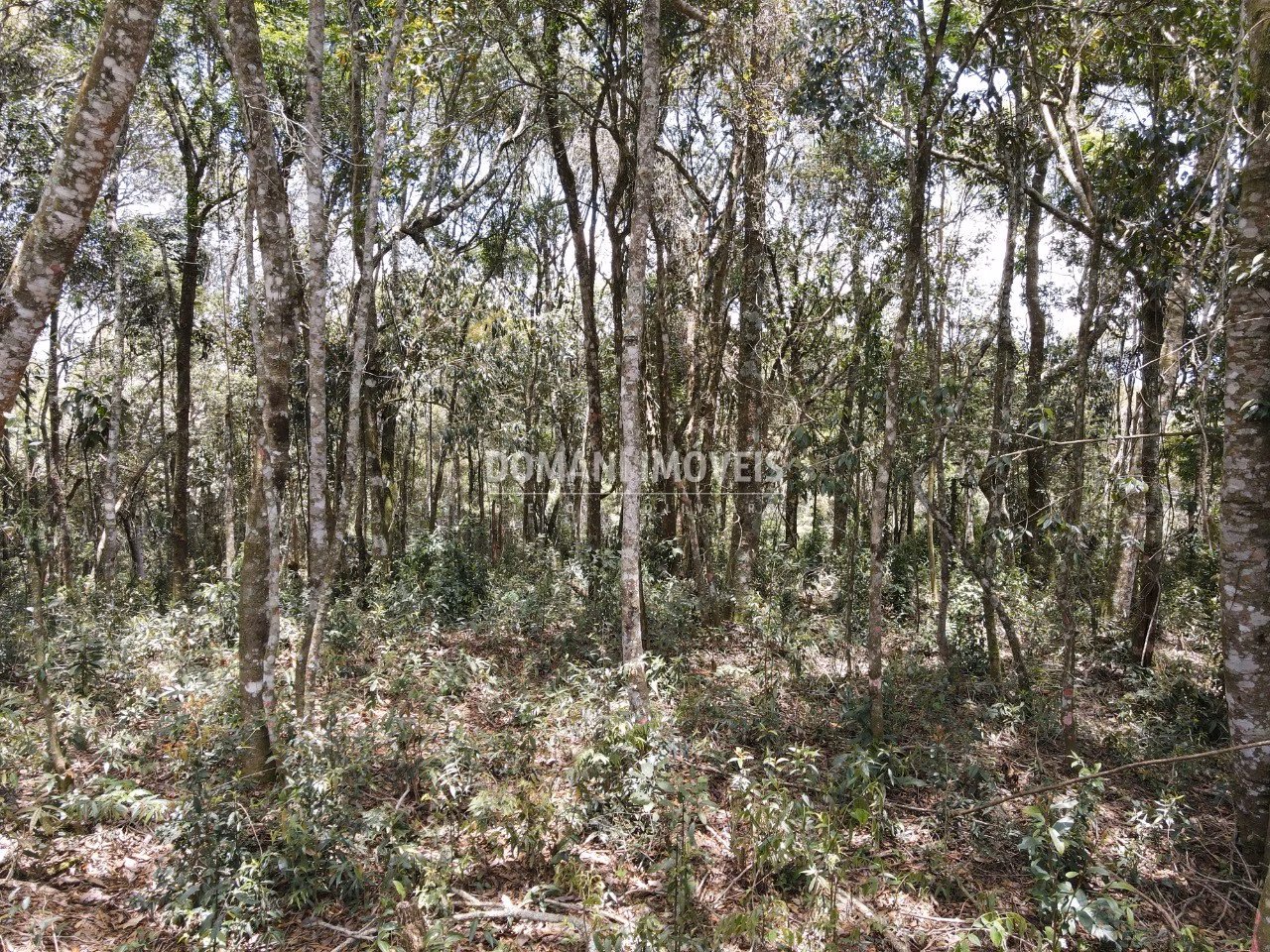 Plot of 1,350 m² in Campos do Jordão, SP, Brazil
