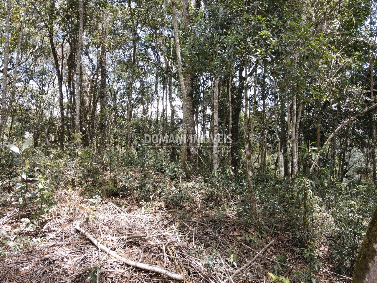 Plot of 1,350 m² in Campos do Jordão, SP, Brazil