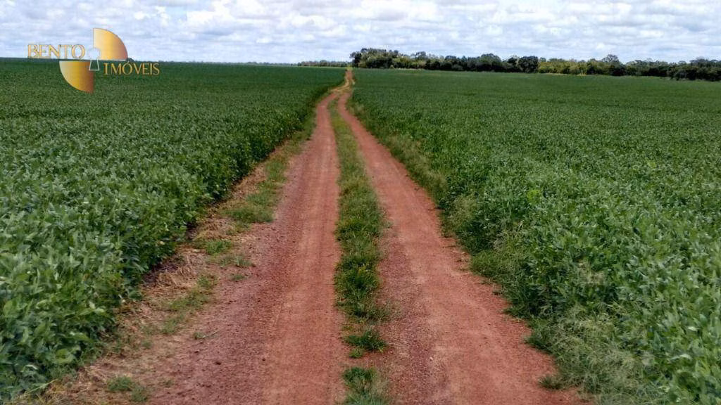 Farm of 140,850 acres in Santana do Araguaia, PA, Brazil