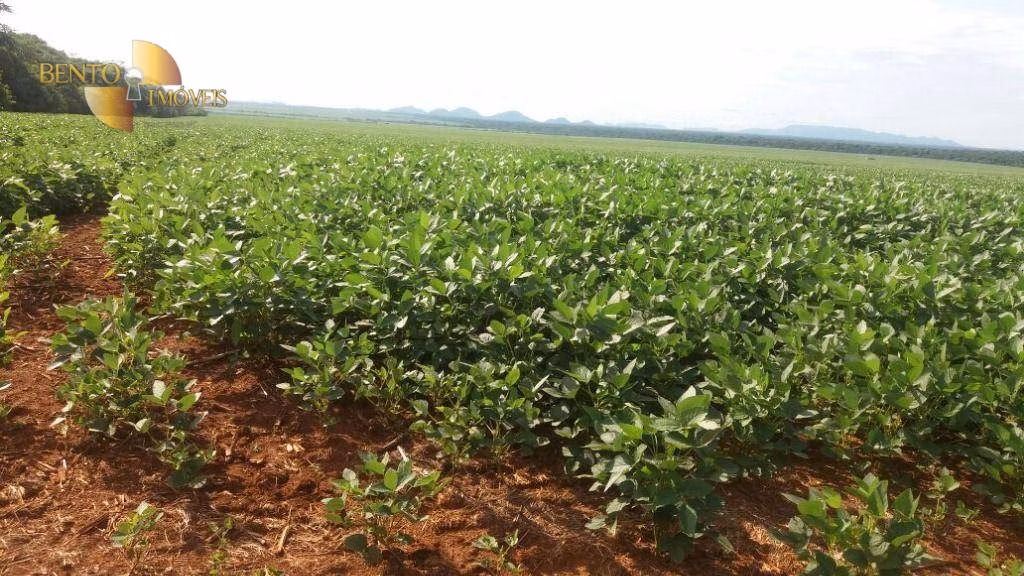 Farm of 140,850 acres in Santana do Araguaia, PA, Brazil