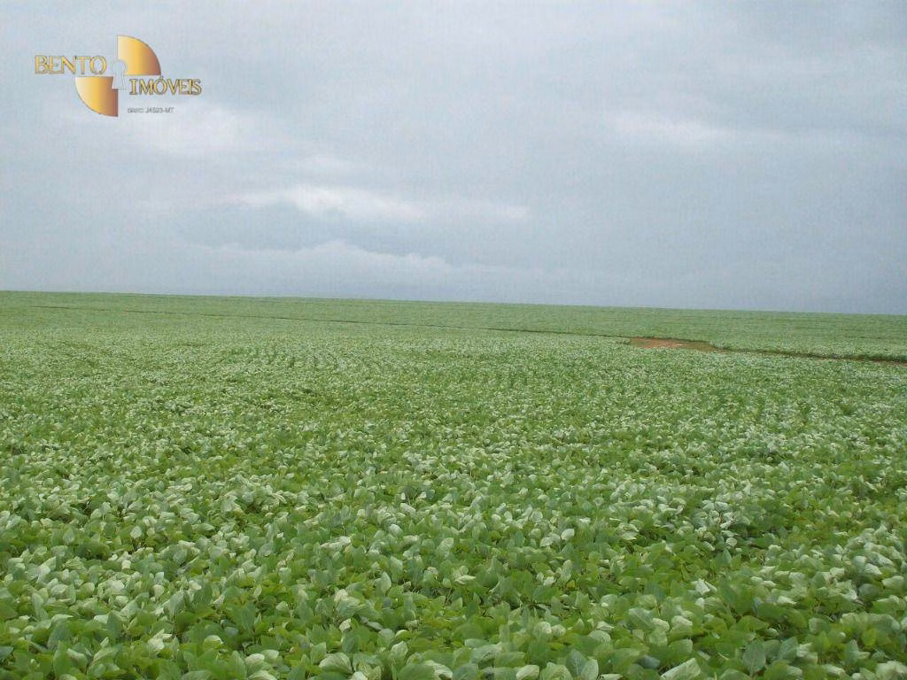Farm of 140.850 acres in Santana do Araguaia, PA, Brazil