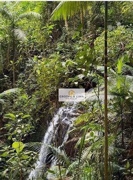 Fazenda de 286 ha em São Paulo, SP