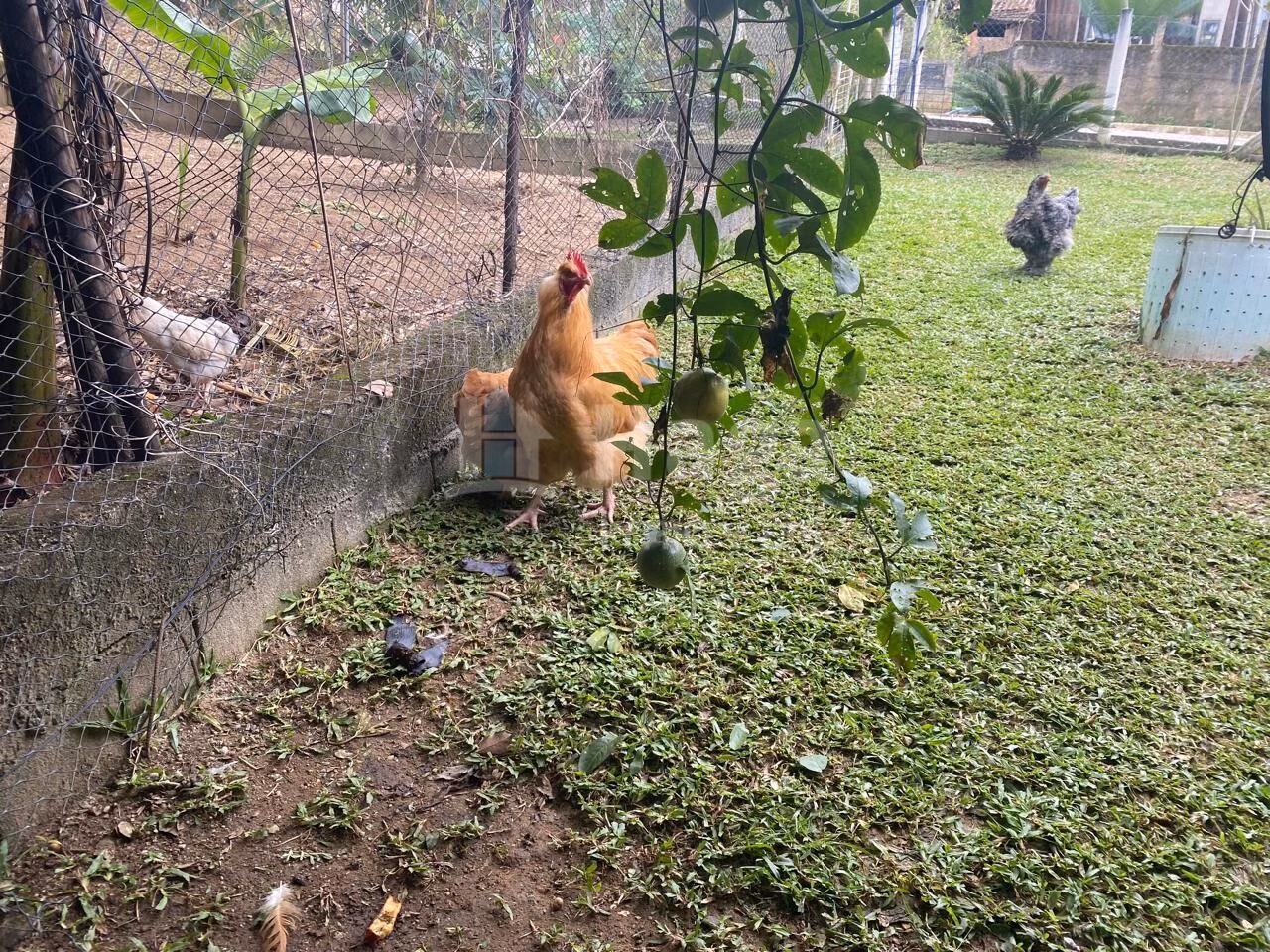 Fazenda de 2.600 m² em Major Gercino, SC