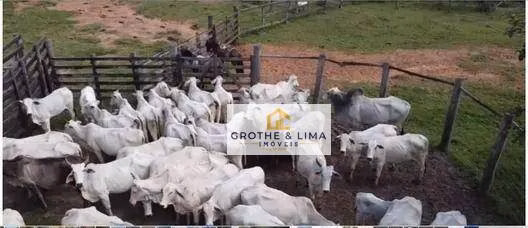 Fazenda de 174 ha em Igaratá, SP