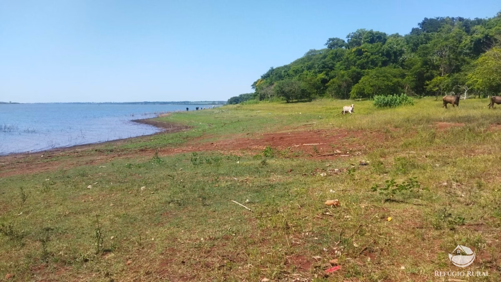 Sítio de 41 ha em Frutal, MG