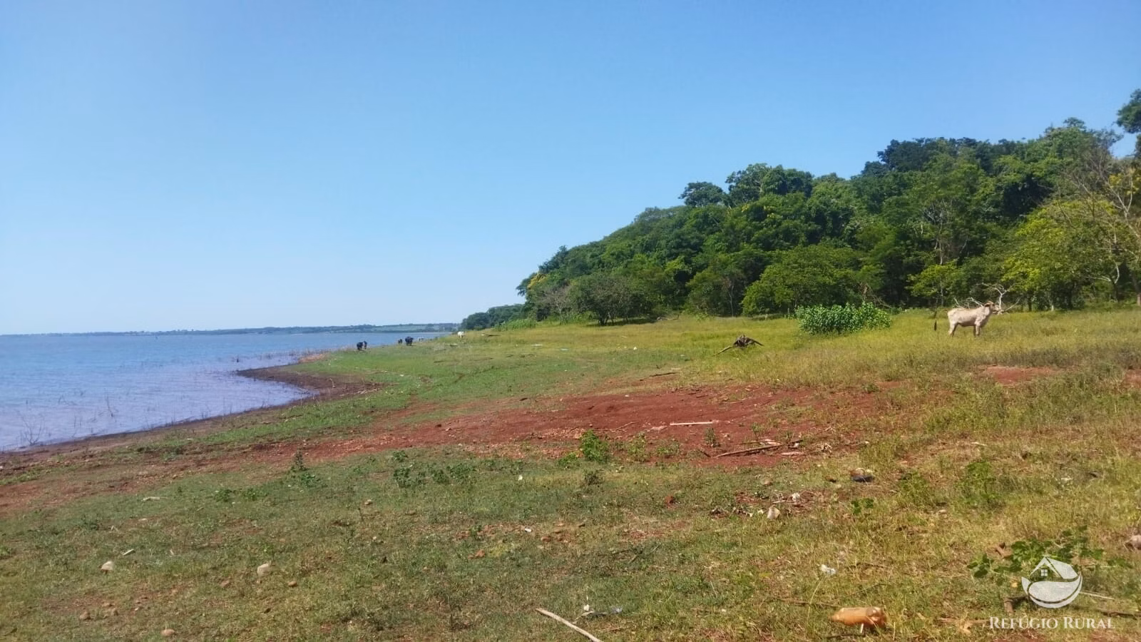 Sítio de 41 ha em Frutal, MG