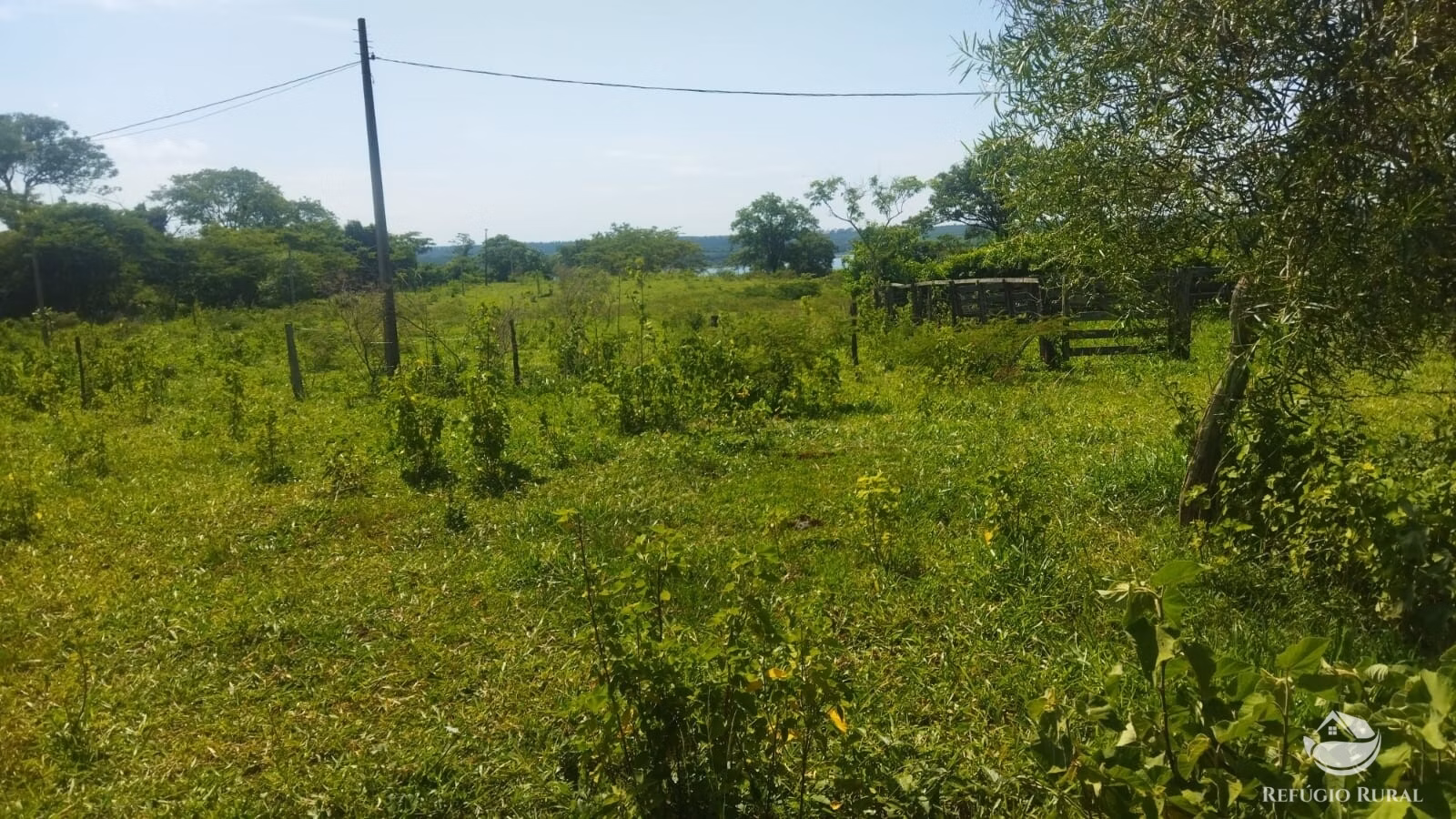 Sítio de 41 ha em Frutal, MG