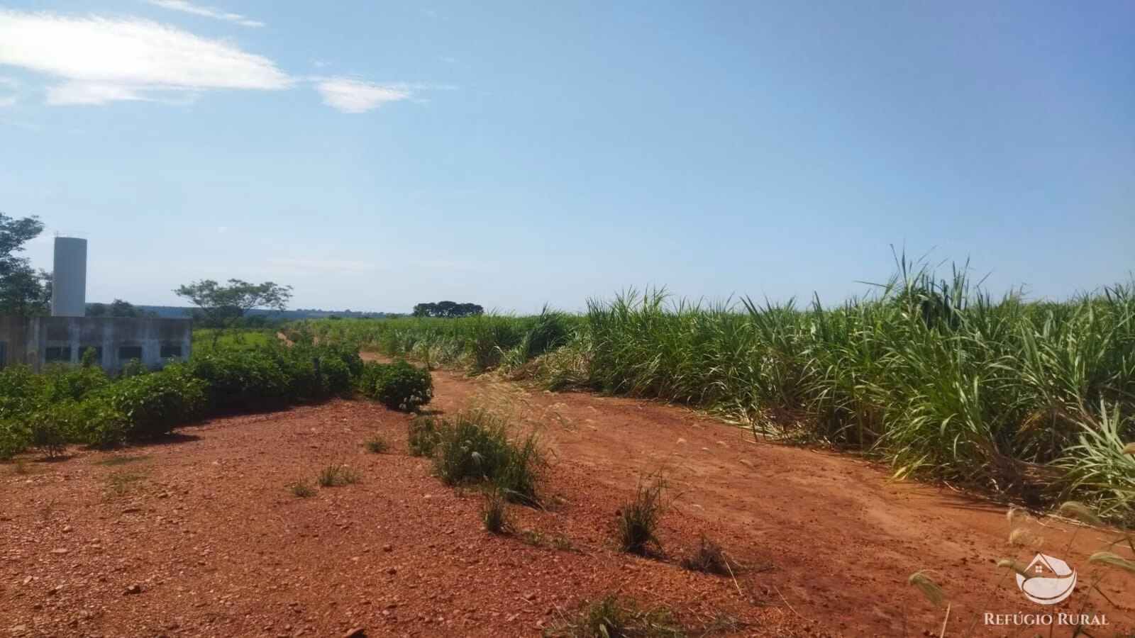 Sítio de 41 ha em Frutal, MG
