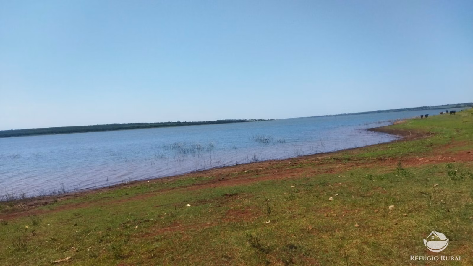 Sítio de 41 ha em Frutal, MG