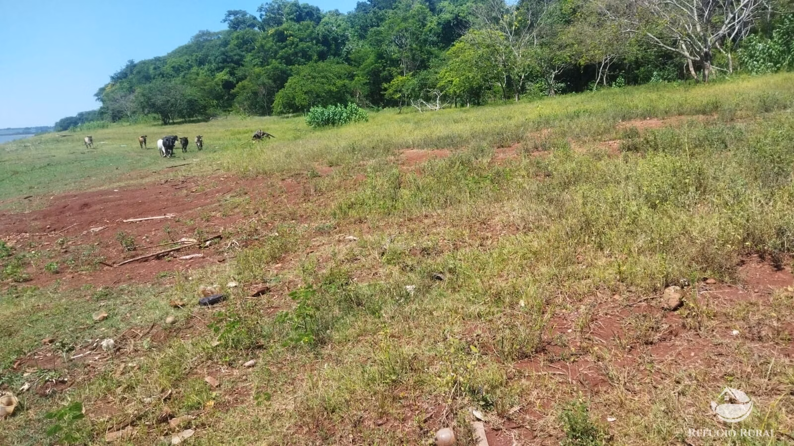 Sítio de 41 ha em Frutal, MG