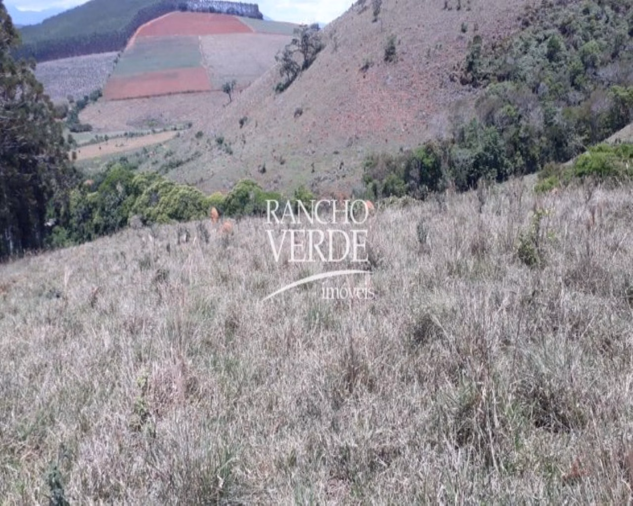 Fazenda de 169 ha em São Lourenço, MG