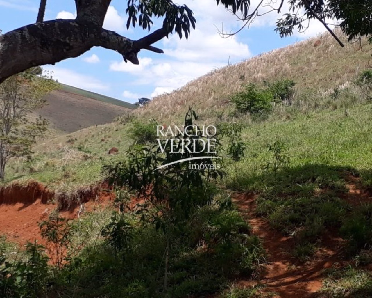 Fazenda de 169 ha em São Lourenço, MG