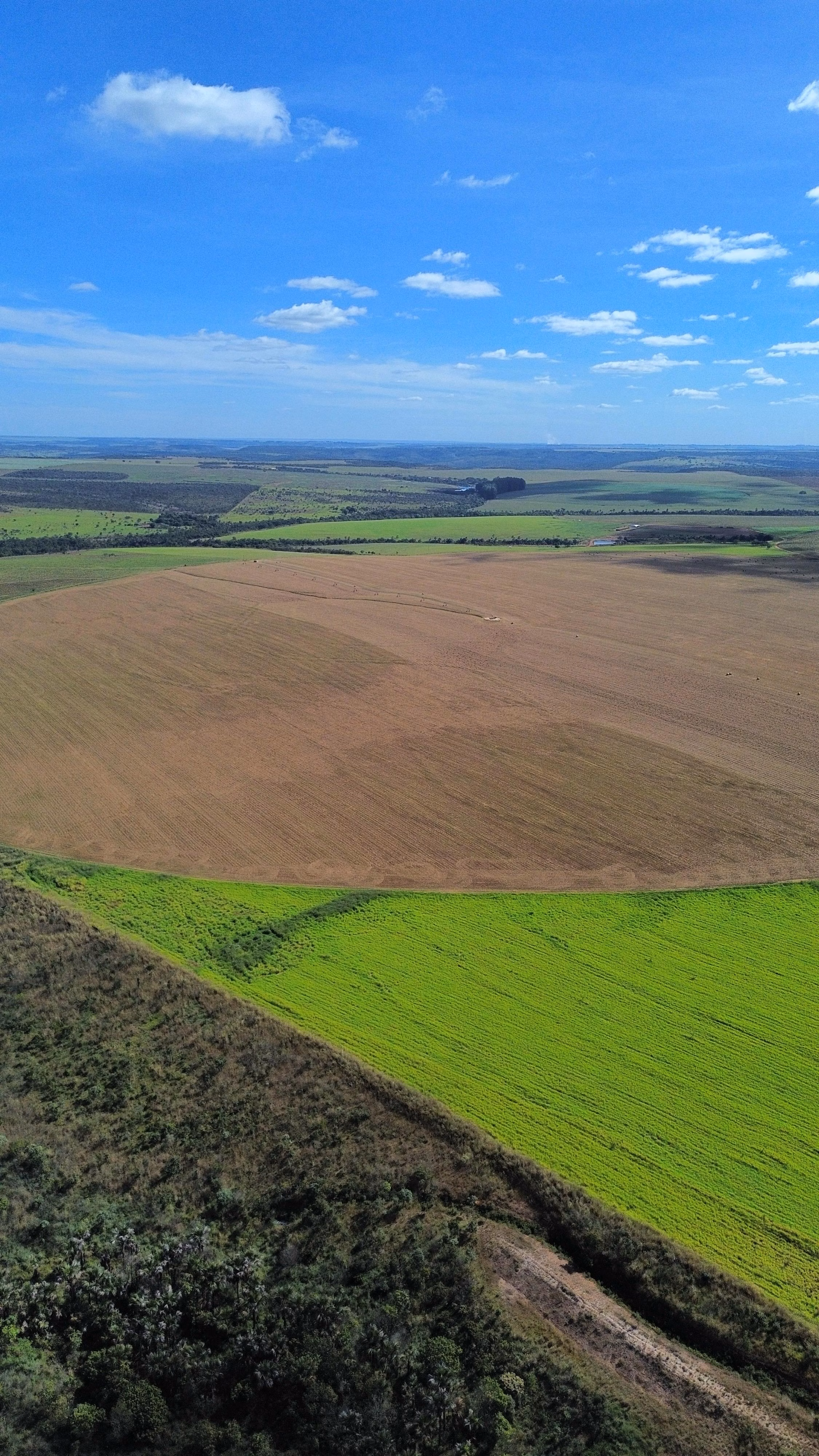 Fazenda de 1.150 ha em Luziânia, GO