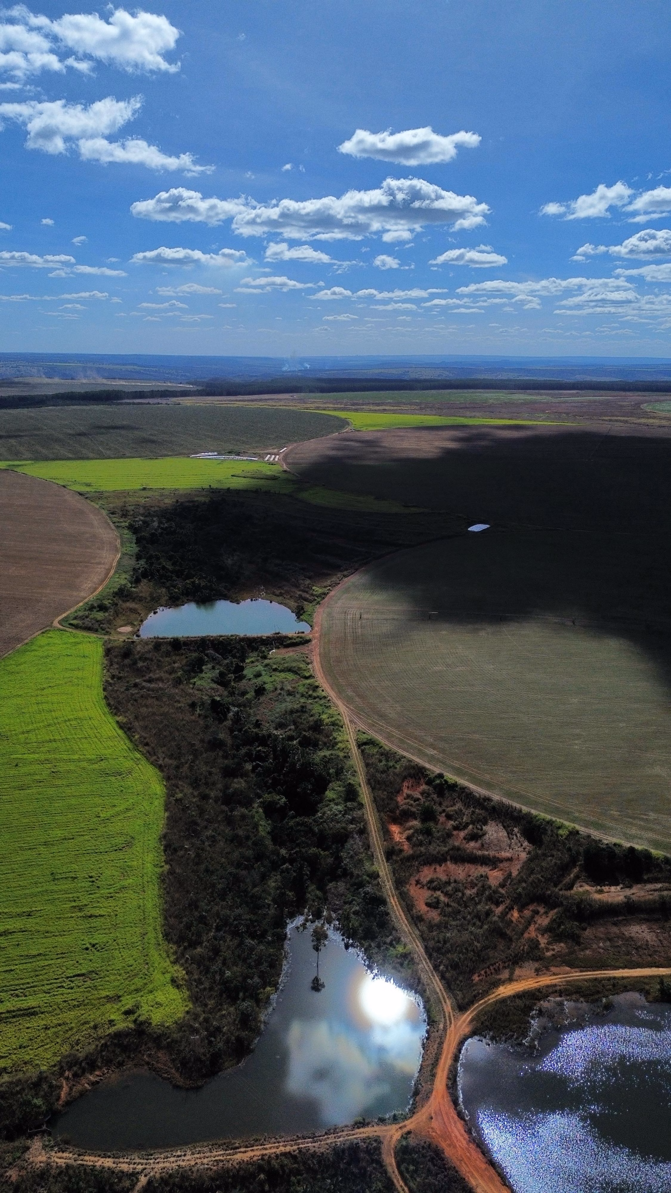 Fazenda de 1.150 ha em Luziânia, GO