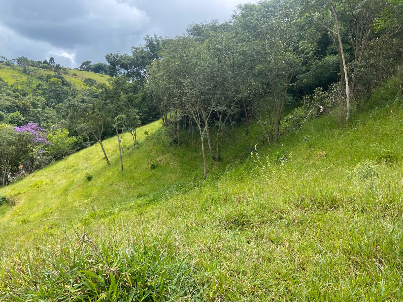 Terreno de 2 ha em São José dos Campos, SP
