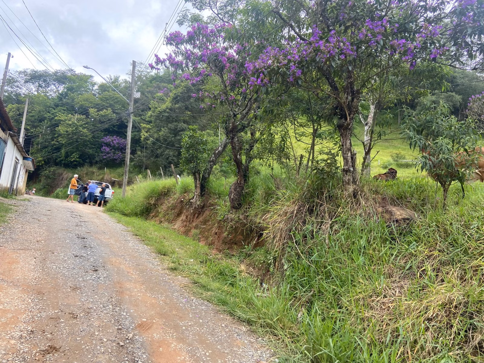 Terreno de 2 ha em São José dos Campos, SP