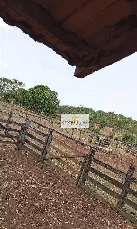 Fazenda de 11.664 ha em Lizarda, TO