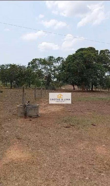 Fazenda de 11.664 ha em Lizarda, TO