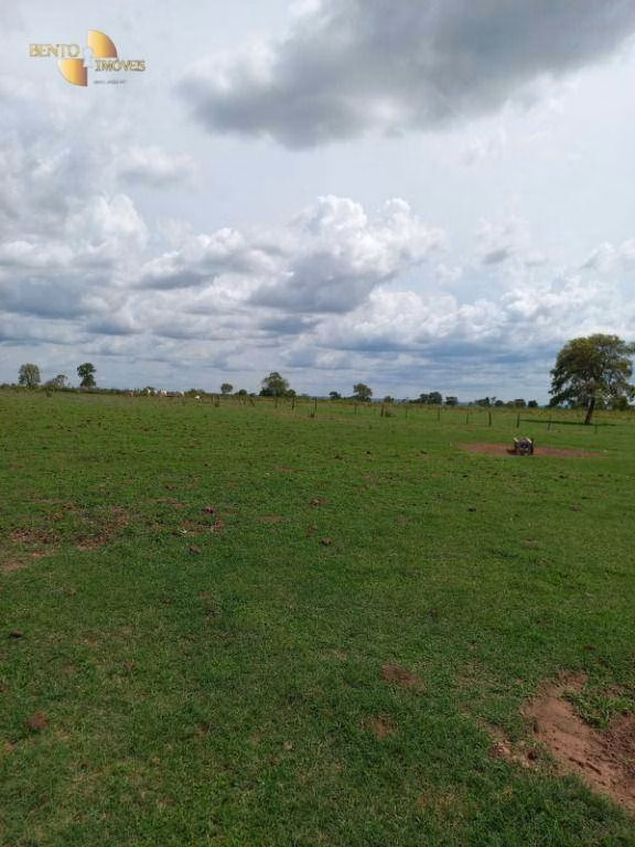 Fazenda de 933 ha em Nova Xavantina, MT