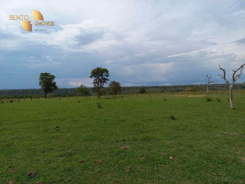 Fazenda de 933 ha em Nova Xavantina, MT