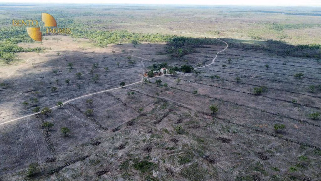 Fazenda de 10.500 ha em Campos Lindos, TO