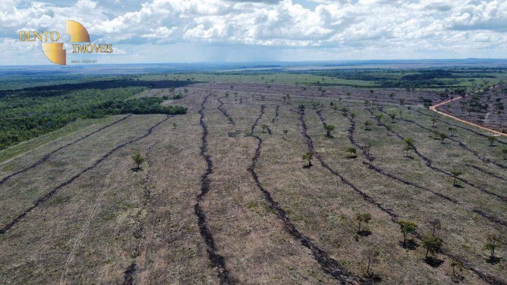 Fazenda de 10.500 ha em Campos Lindos, TO