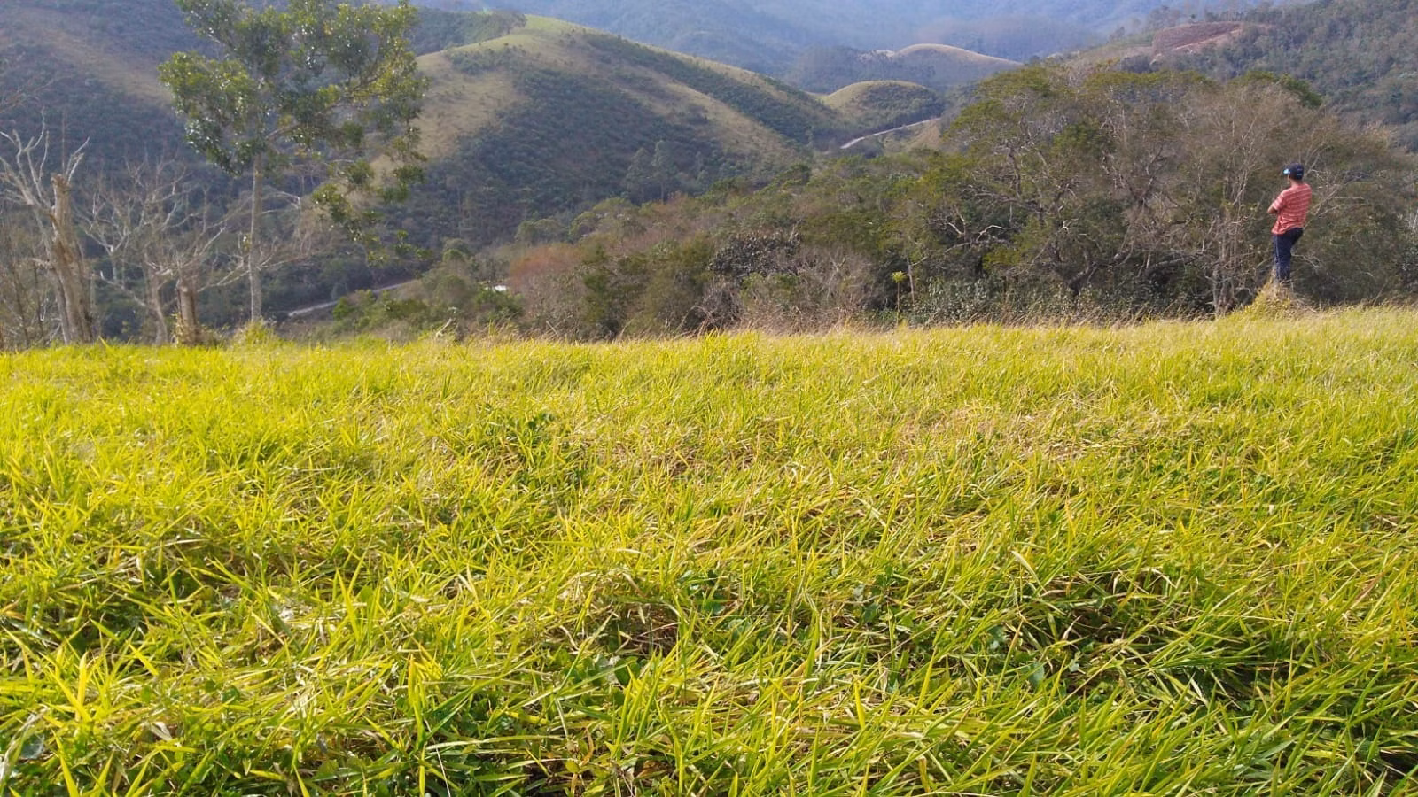 Terreno de 2 ha em São José dos Campos, SP