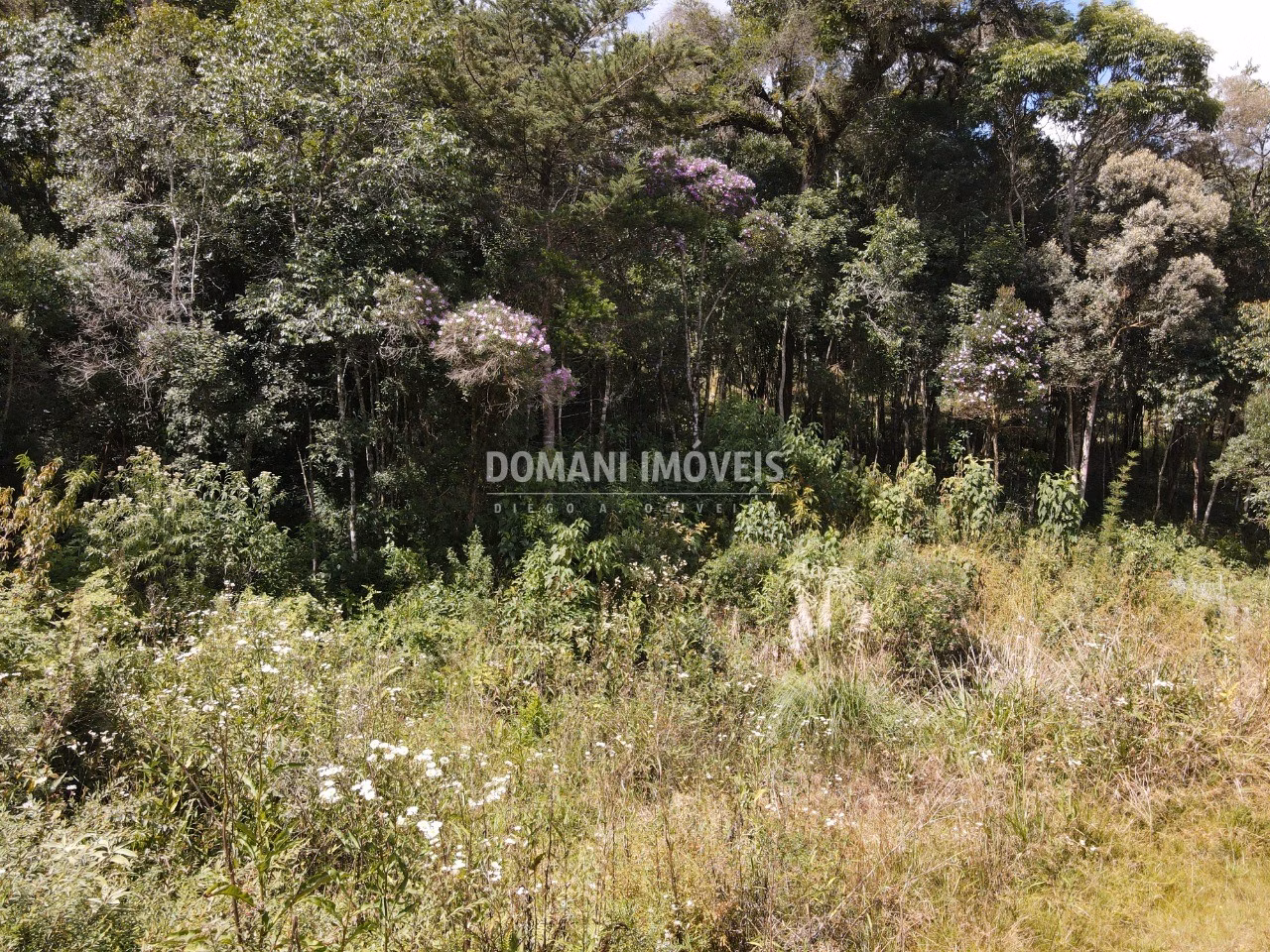 Terreno de 1.500 m² em Campos do Jordão, SP