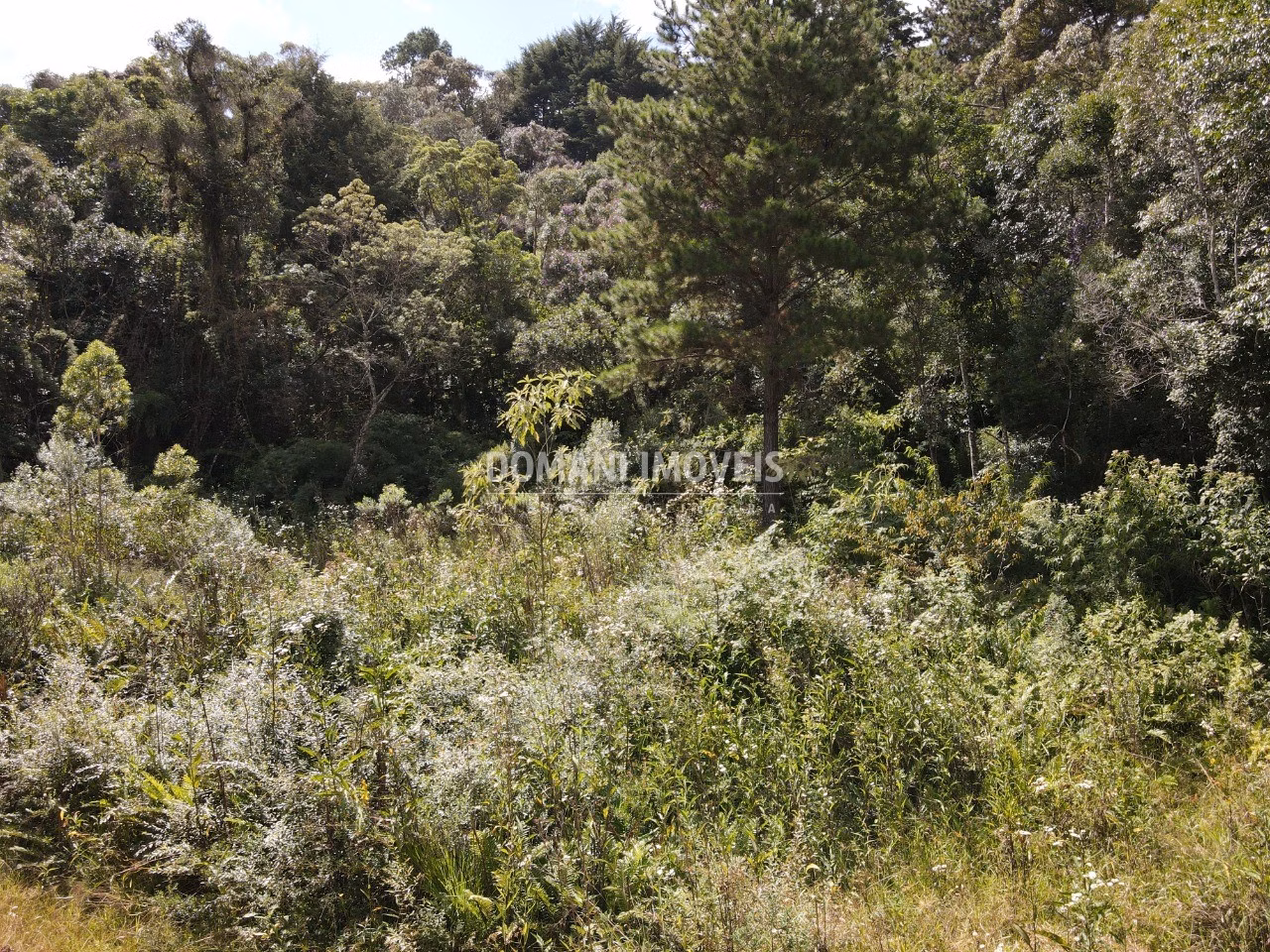 Terreno de 1.500 m² em Campos do Jordão, SP