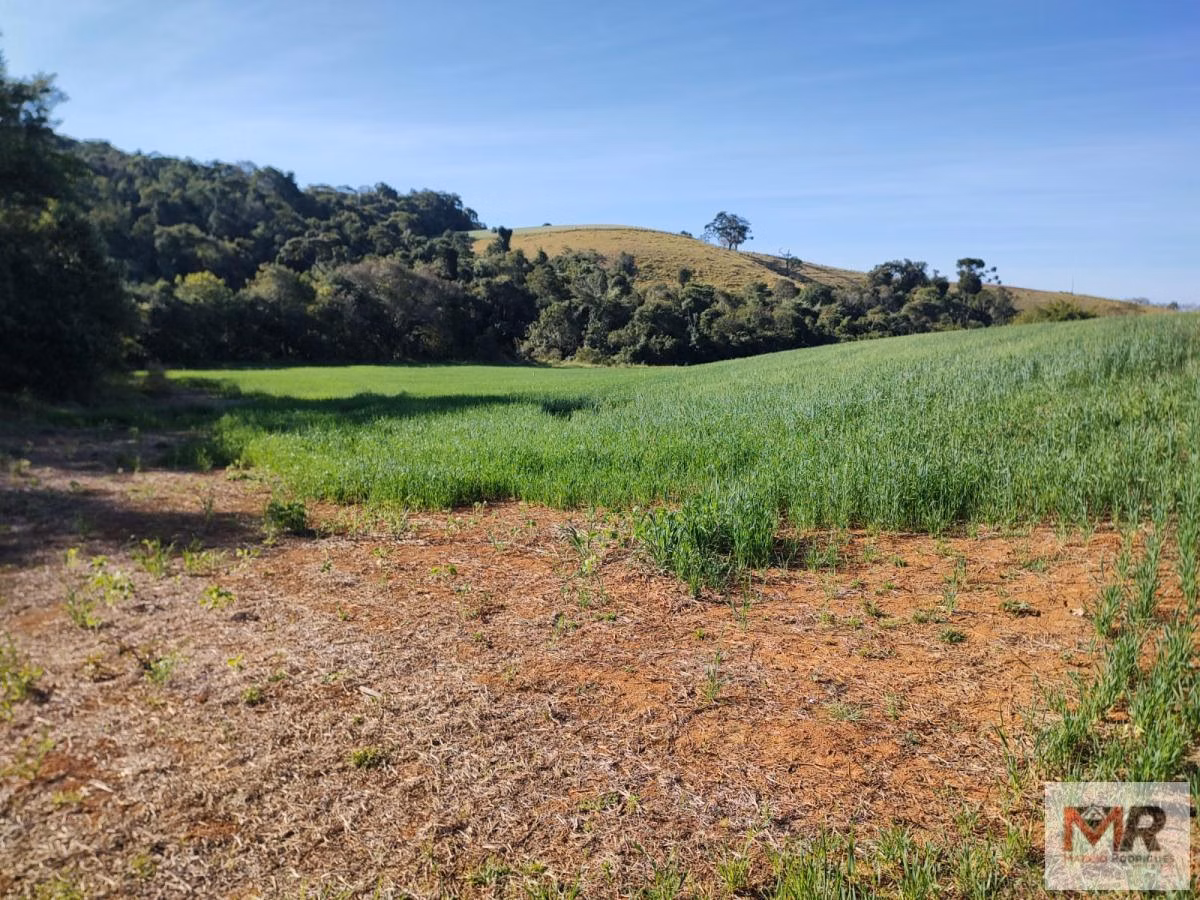 Terreno de 24 ha em Silvianópolis, MG
