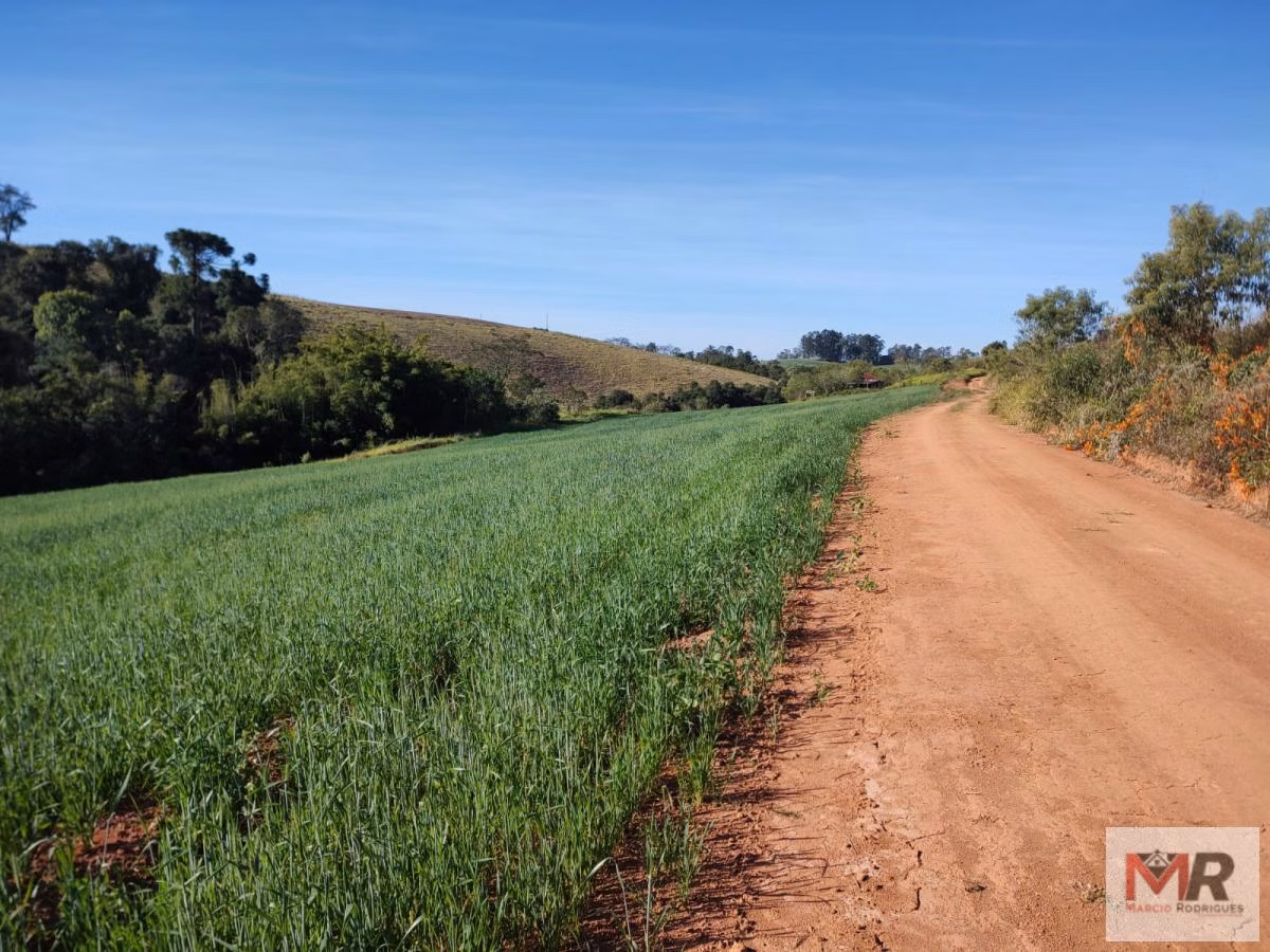 Terreno de 24 ha em Silvianópolis, MG