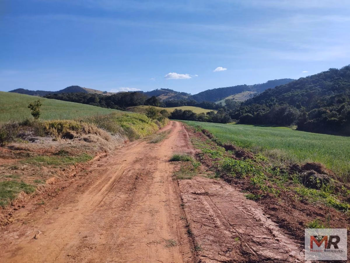 Terreno de 24 ha em Silvianópolis, MG