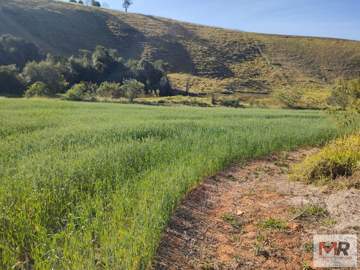 Terreno de 24 ha em Silvianópolis, MG