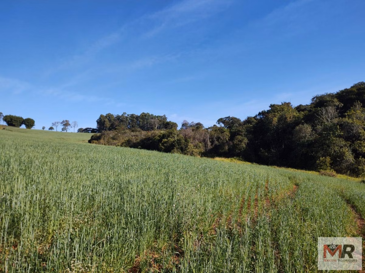 Terreno de 24 ha em Silvianópolis, MG