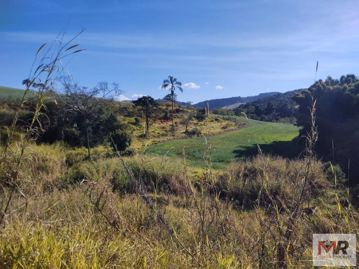 Terreno de 24 ha em Silvianópolis, MG
