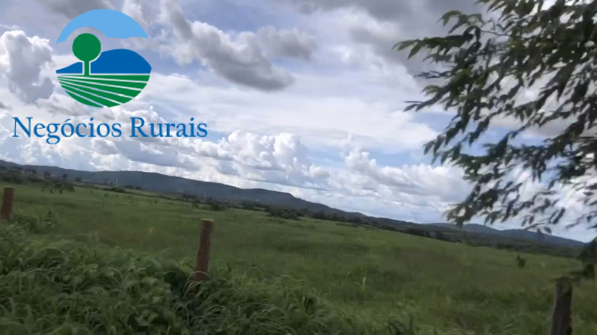 Fazenda de 871 ha em Mara Rosa, GO