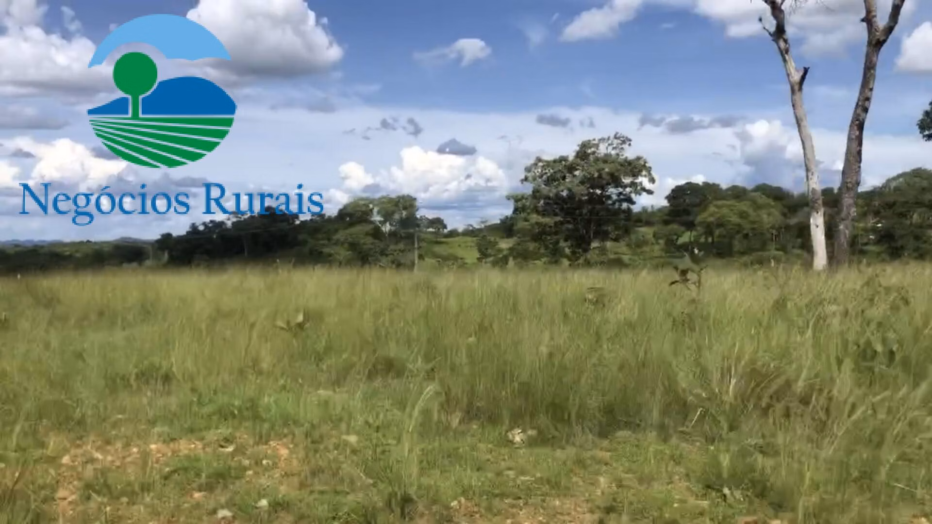 Fazenda de 871 ha em Mara Rosa, GO