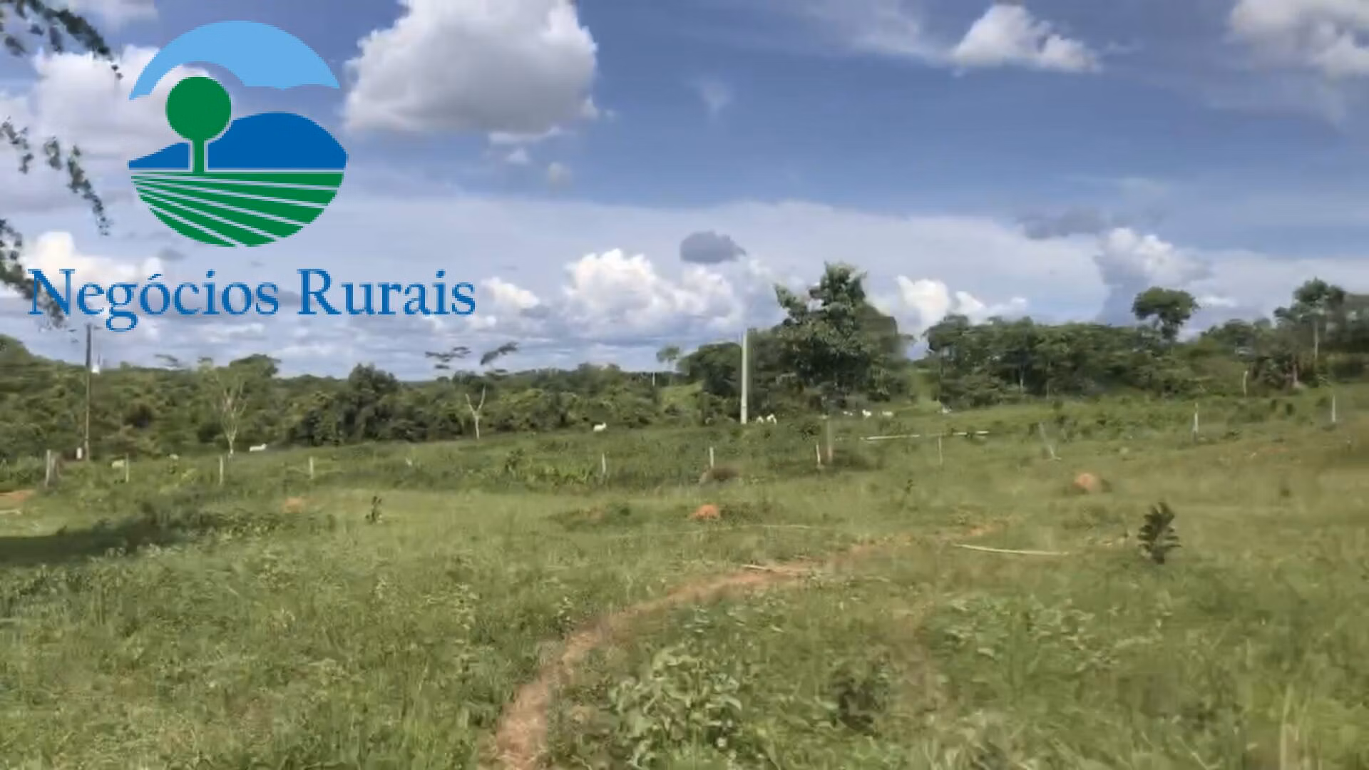 Fazenda de 871 ha em Mara Rosa, GO