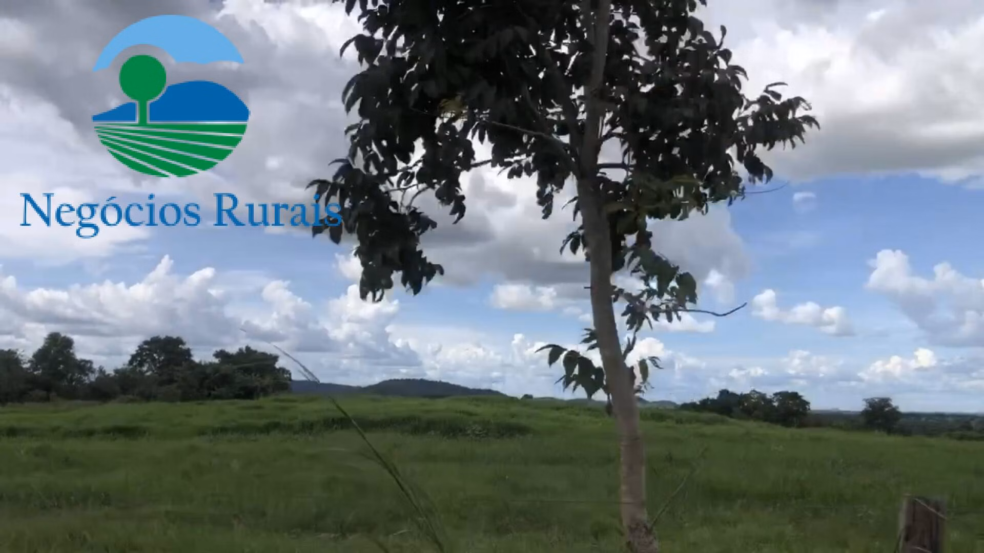 Fazenda de 871 ha em Mara Rosa, GO
