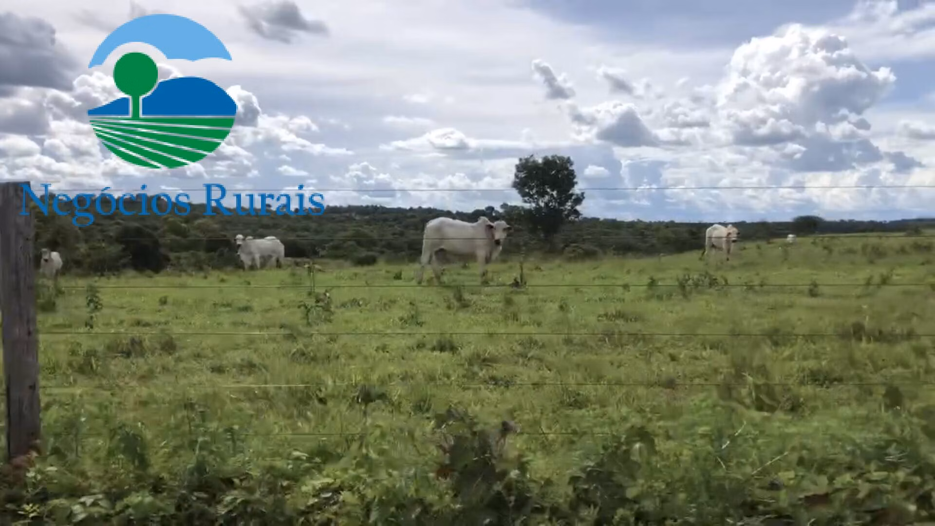 Fazenda de 871 ha em Mara Rosa, GO