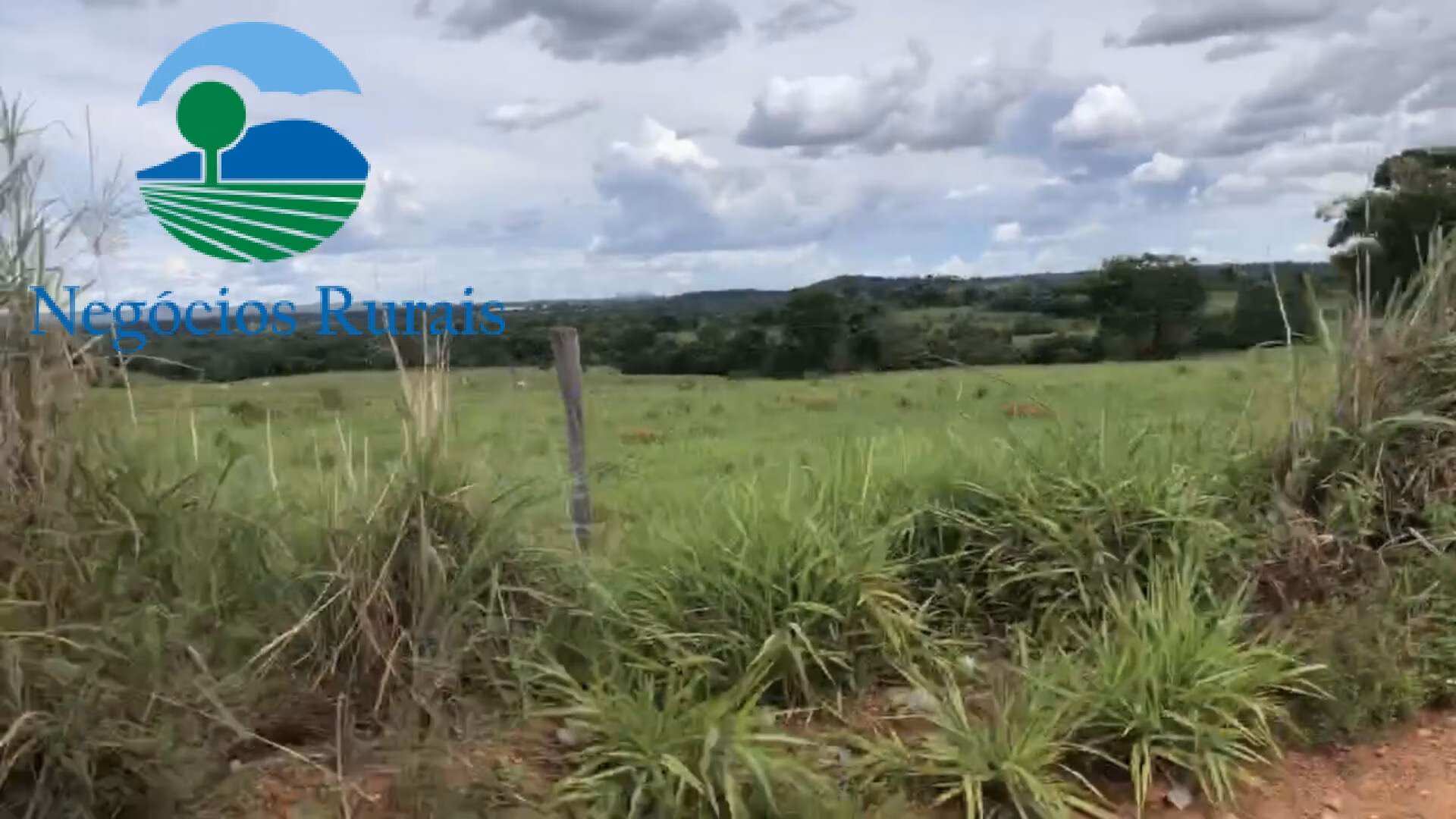 Fazenda de 871 ha em Mara Rosa, GO